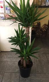 çiçek,çiçekçi, çiçekçiler, çiçek sitesi