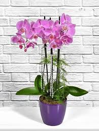 çiçek,çiçekçi, çiçekçiler, çiçek sitesi