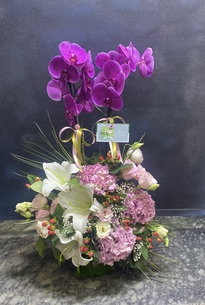 çiçek,çiçekçi, çiçekçiler, çiçek sitesi