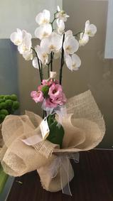 çiçek,çiçekçi, çiçekçiler, çiçek sitesi