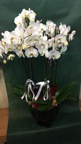 çiçek,çiçekçi, çiçekçiler, çiçek sitesi