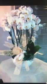 çiçek,çiçekçi, çiçekçiler, çiçek sitesi