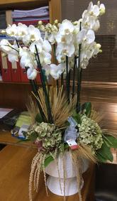 çiçek,çiçekçi, çiçekçiler, çiçek sitesi