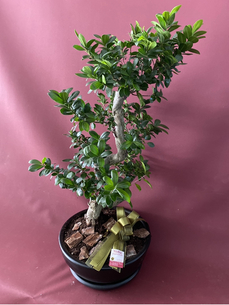 çiçek,çiçekçi, çiçekçiler, çiçek sitesi